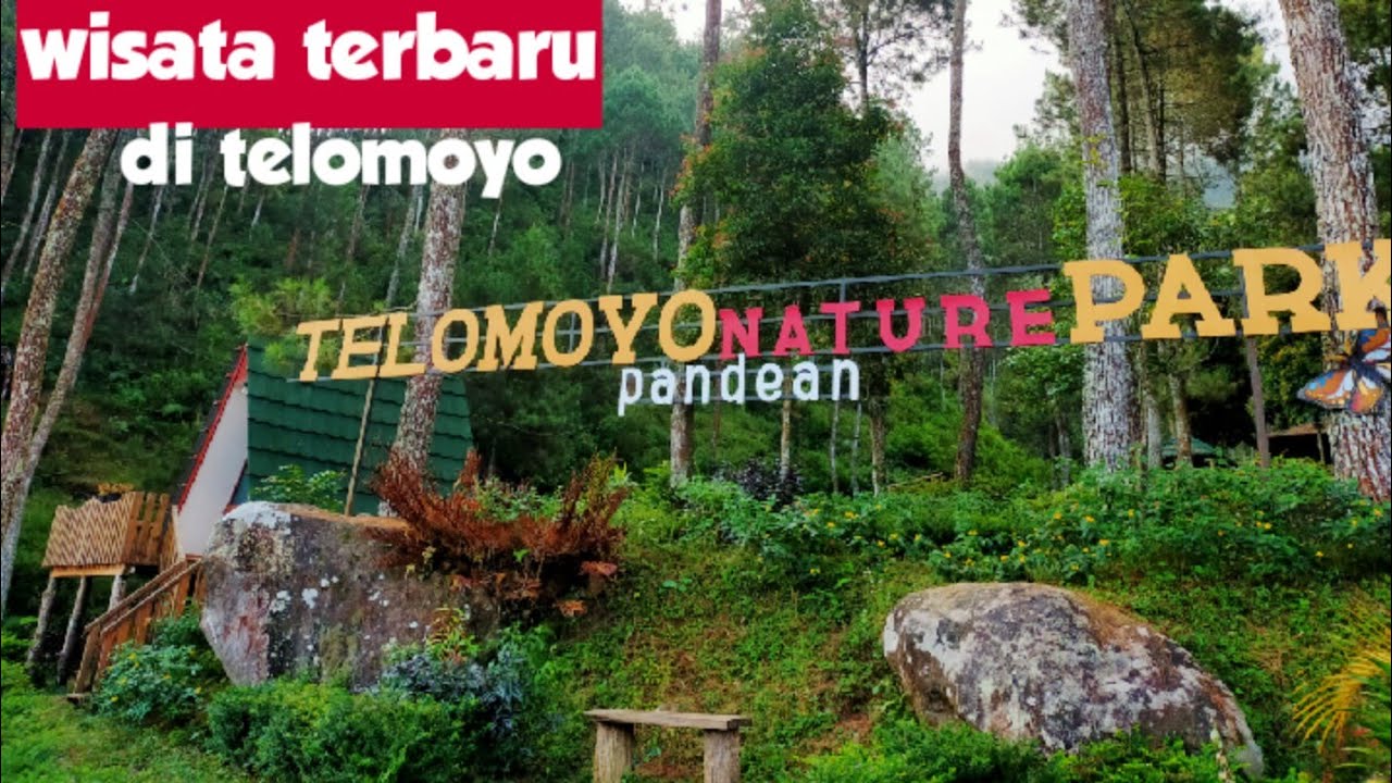 Telomoyo Nature Park: Petualangan Alam di Lereng Gunung Merapi